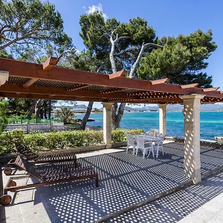 Mediterranean Sundance *
